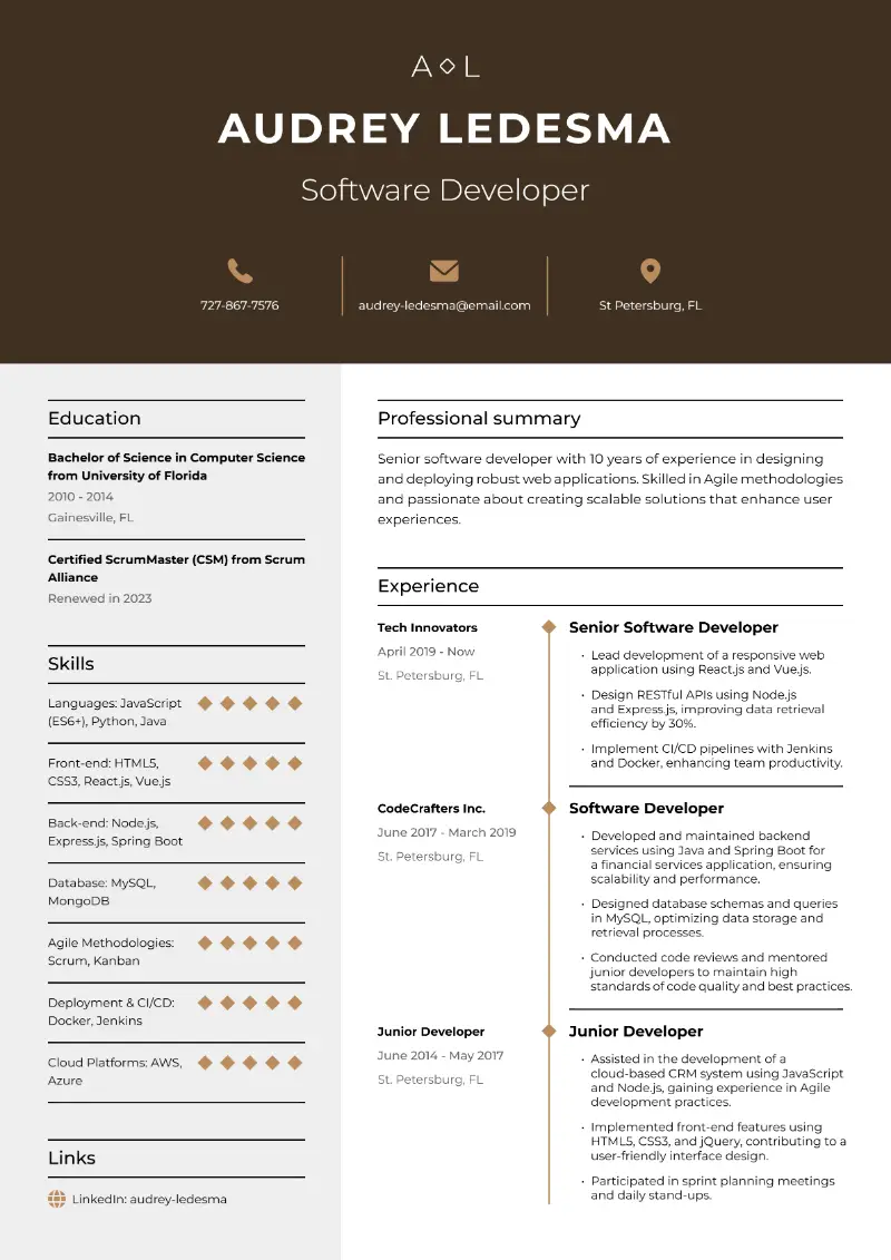 6 Developer Resume Examples and Templates for 2025