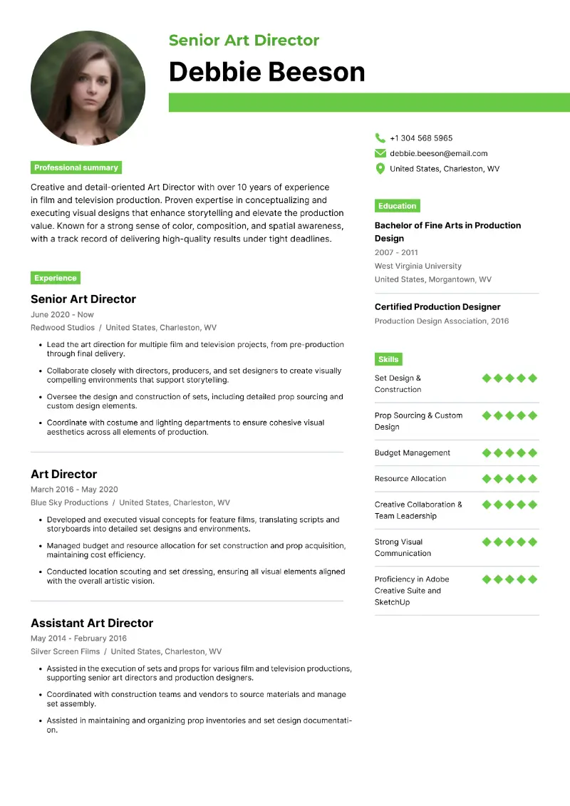 5 Art Director Resume Examples & Templates for 2025 